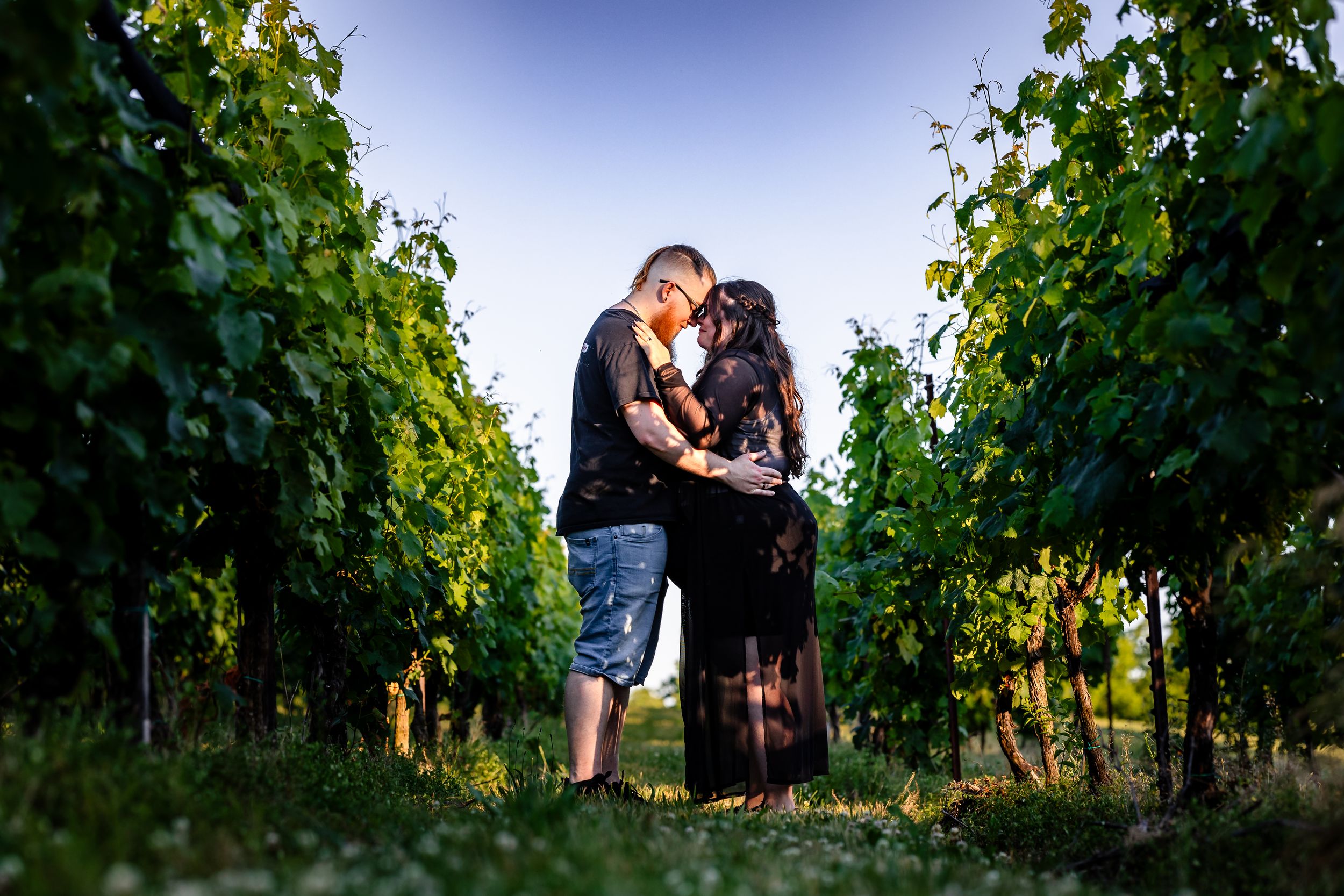 Romantic couple sharing an intimate moment kissing between rows of grapevines in a vineyard.