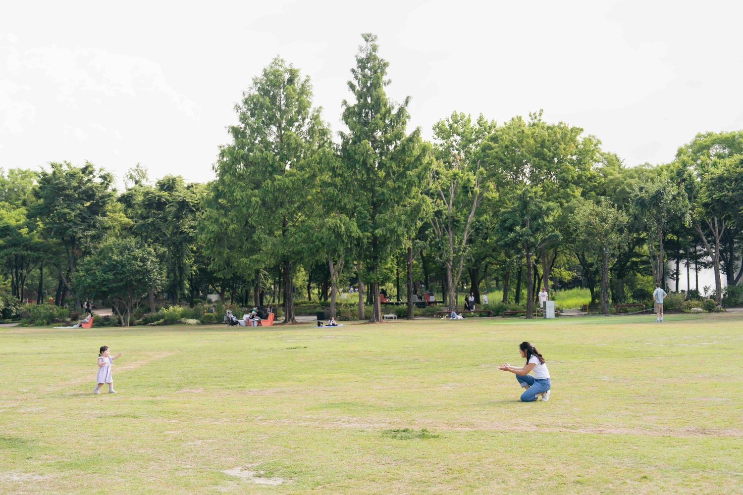 Adults and children playing in a spacious green park surrounded by tall trees on a cloudy day.