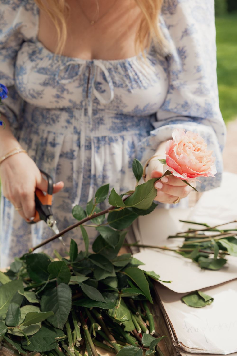 Woman in floral blue dress trimming a pink garden rose stem with scissors outdoors.