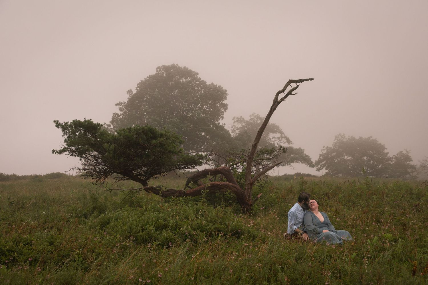 Couple sitting together in a misty meadow beside a windswept tree, surrounded by lush green grass in foggy conditions.