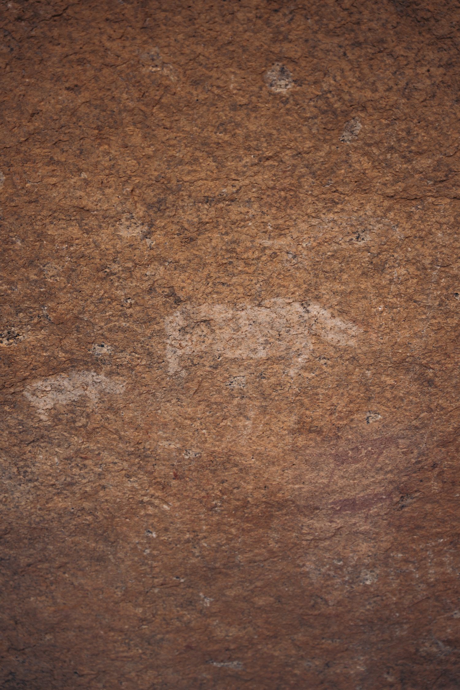 peinture rupestre de rhinocéros à spitzkoppe
