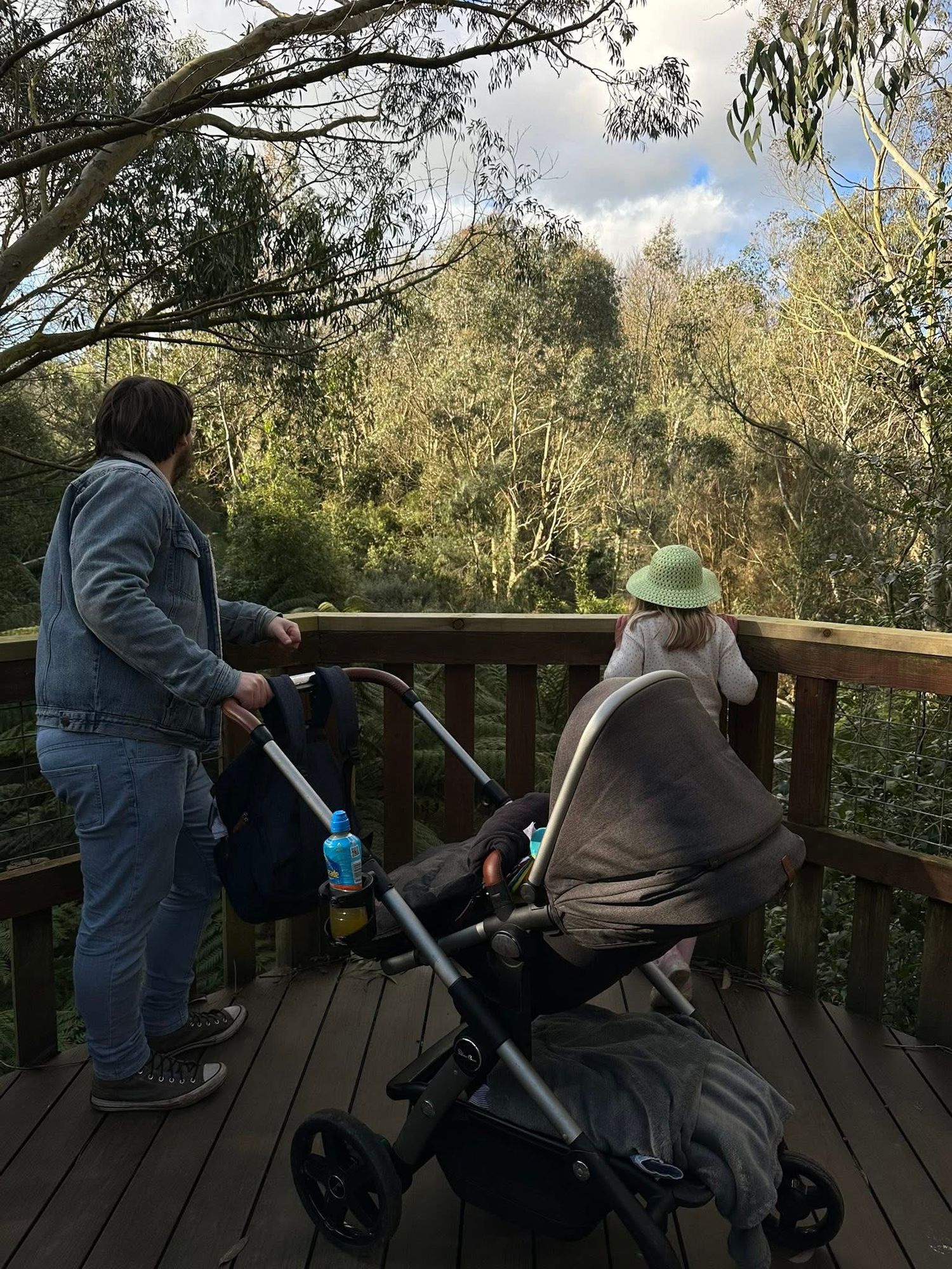 Calvin Ferries with his children overlooking a forest canopy