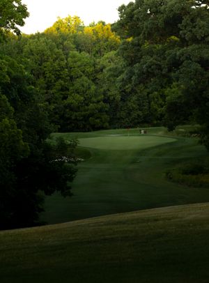 Scenic golf course green surrounded by lush trees at golden hour.