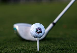 Close-up of a branded golf ball on a tee with a driver club on a green course.