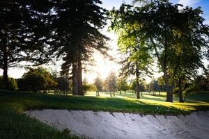 Sunlit golf course with sand bunker surrounded by tall green trees at golden hour.