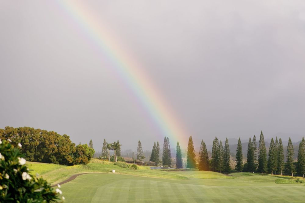A vibrant rainbow arches over a lush green golf course lined with tall pine trees under a cloudy sky in Hawaii.