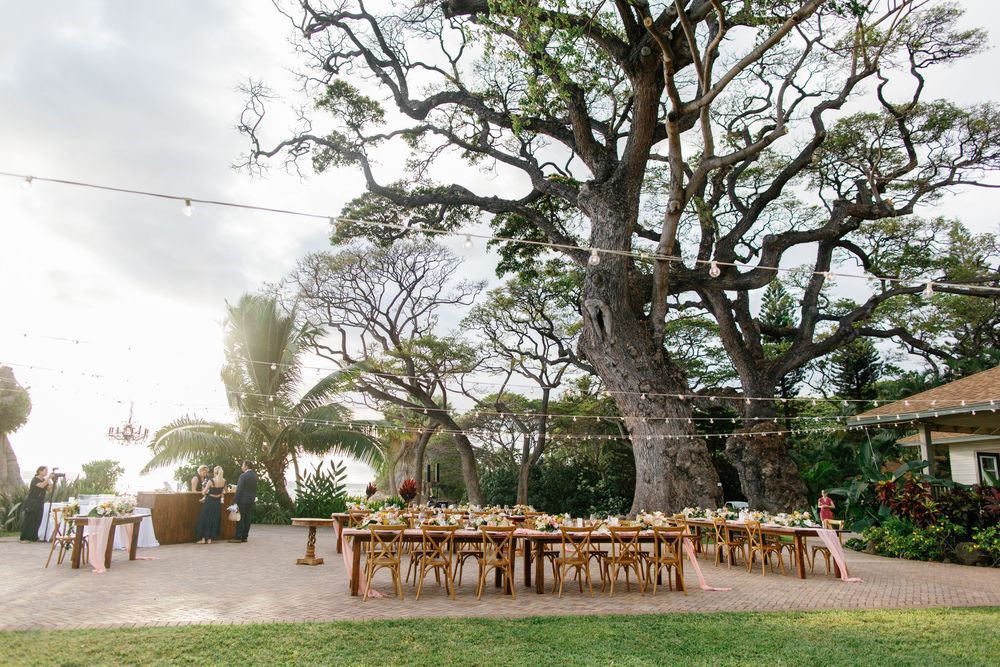 Outdoor wedding reception with long wooden tables under giant trees, decorated with floral centerpieces and string lights.