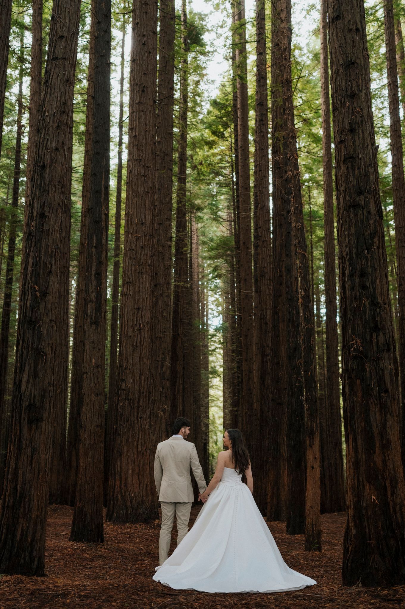 Bride and groom holding hands among towering redwood trees in a lush forest, bride wearing elegant white gown.