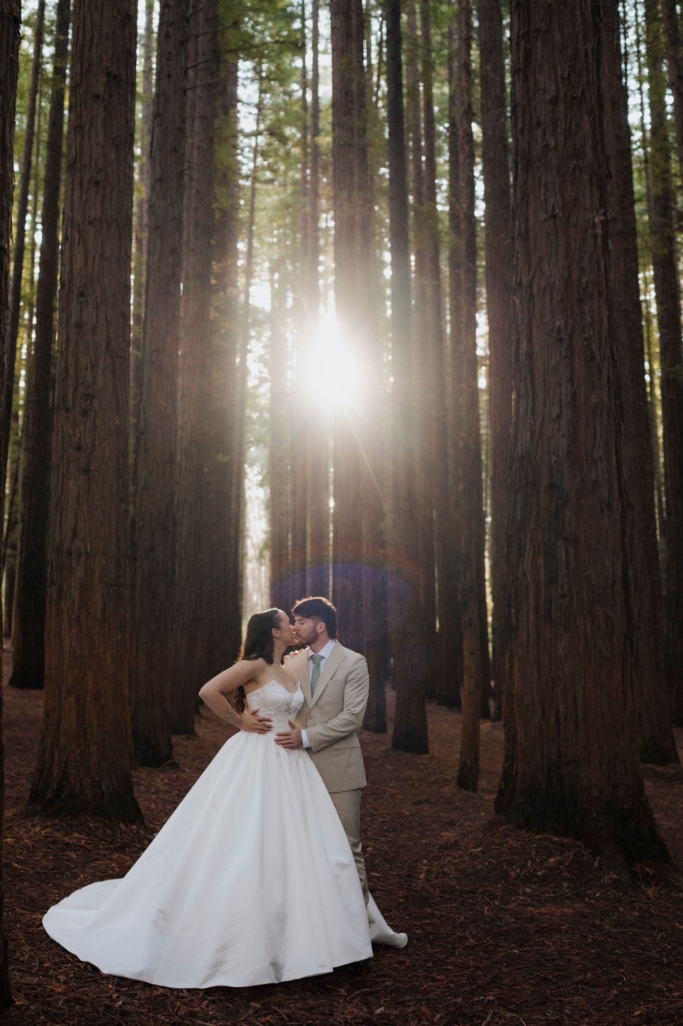 Bride and groom kissing in a sunlit redwood forest, bride in a flowing white gown, groom in a tan suit.
