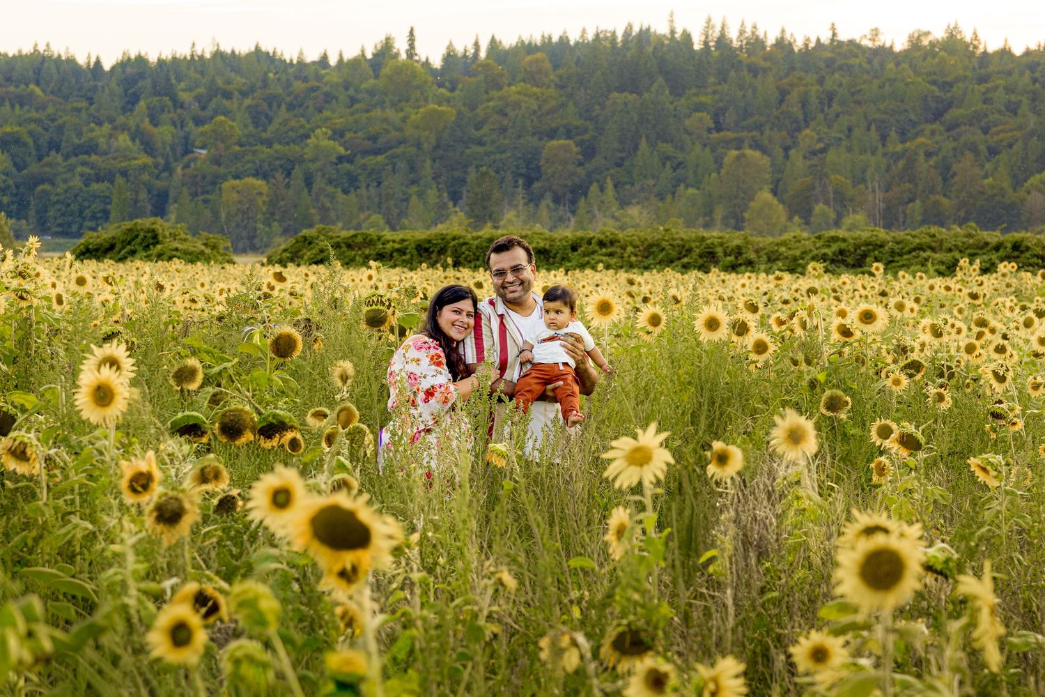 Family of three posing happily in a vibrant sunflower field with lush green forest backdrop on a sunny day.