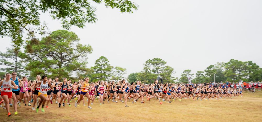 Large group of cross country runners racing at start of outdoor meet surrounded by pine trees.