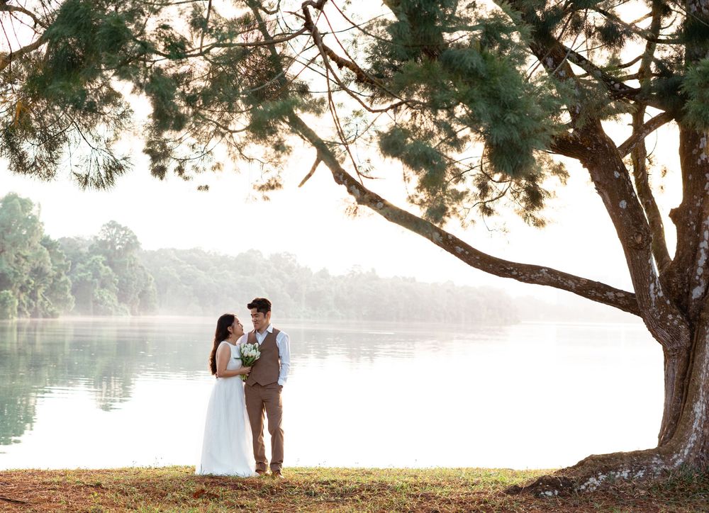 Bride and groom share a romantic moment under a large tree by a misty lake during their outdoor wedding.