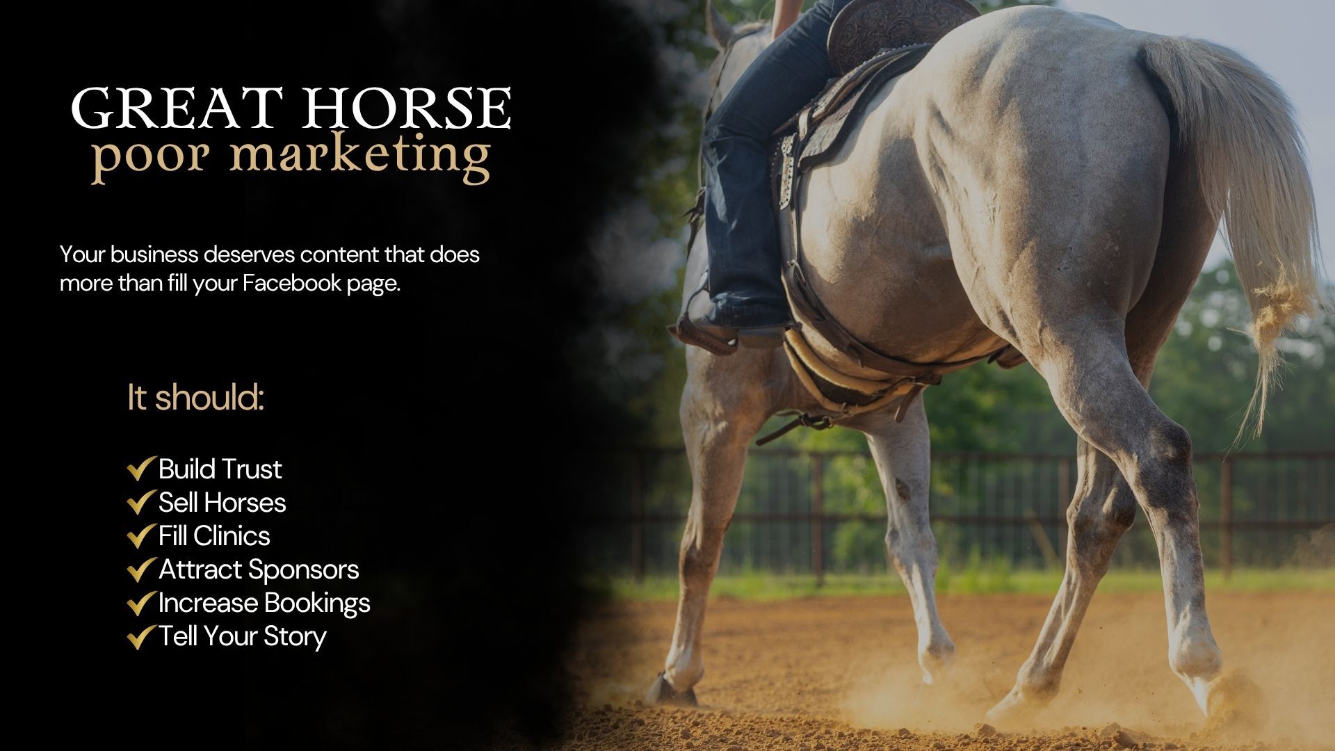 A gray horse stands in an arena beside text promoting equestrian business marketing services to build trust and increase bookings.