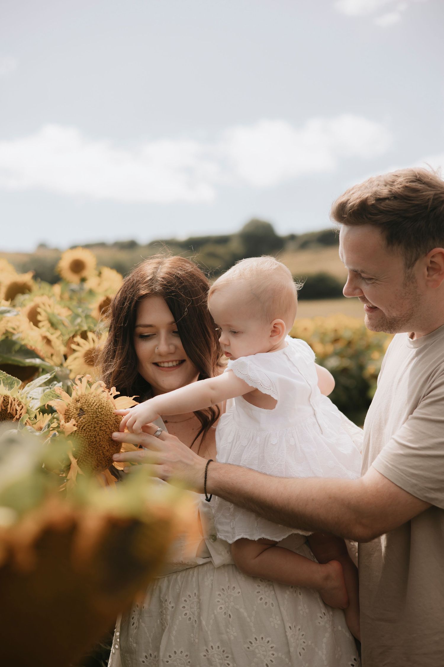 Young family with baby exploring sunflower field on sunny day, parents smiling as infant touches blooming sunflower.