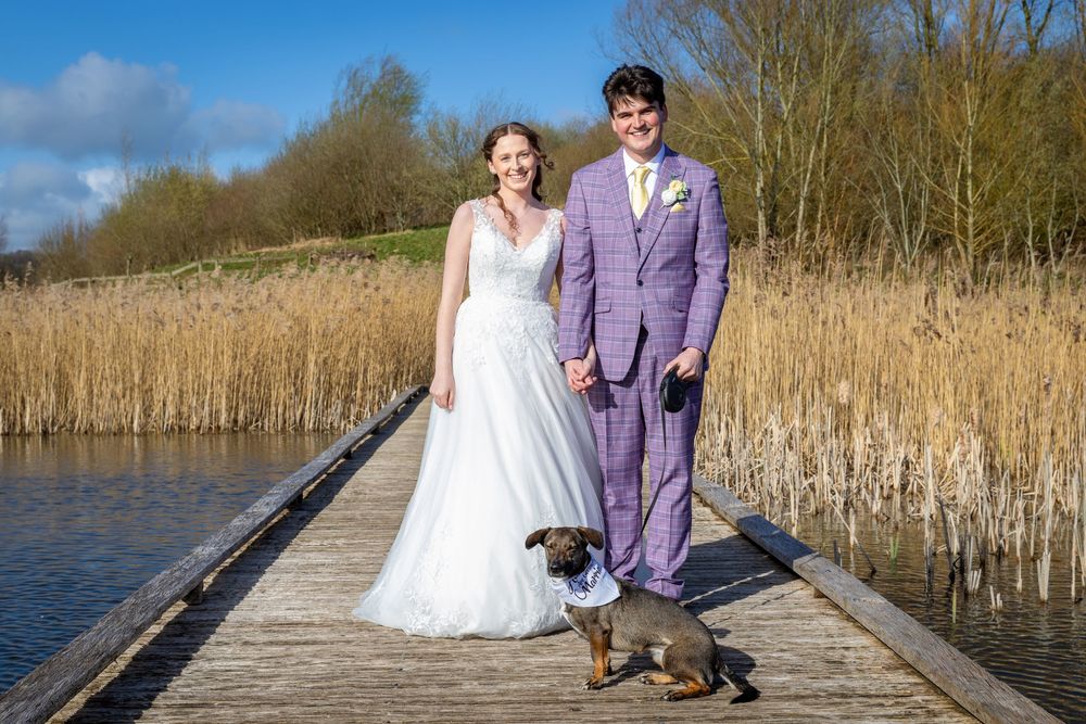 Bride and groom in purple suit hold hands on wooden dock with dachshund dog, lakeside reeds backdrop.