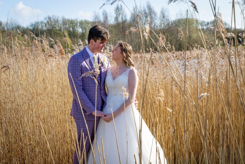 Bride and groom embracing among tall golden reeds outdoors on a sunny wedding day.
