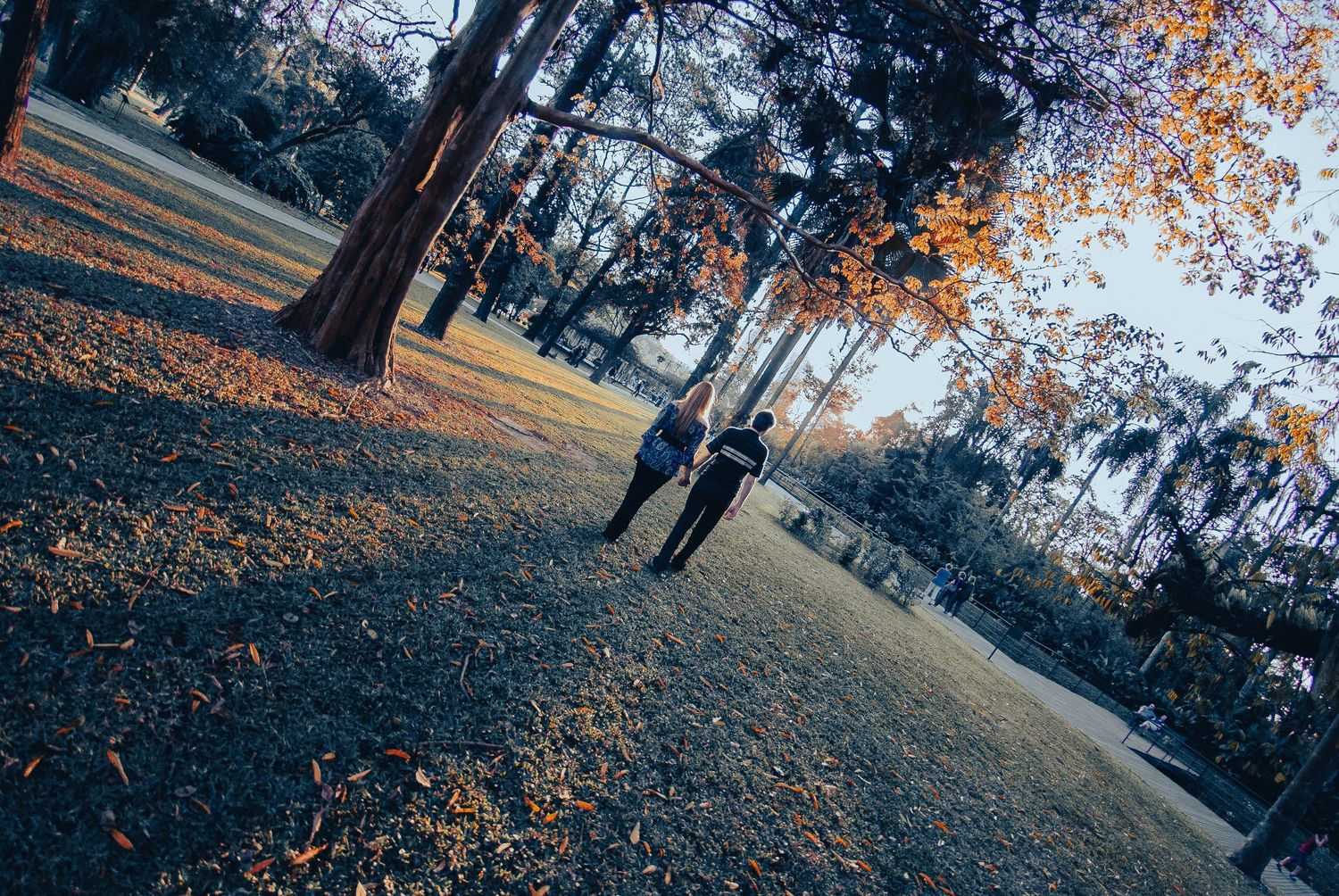 Two people walking through an autumn park with fallen leaves and tall trees in warm golden light.