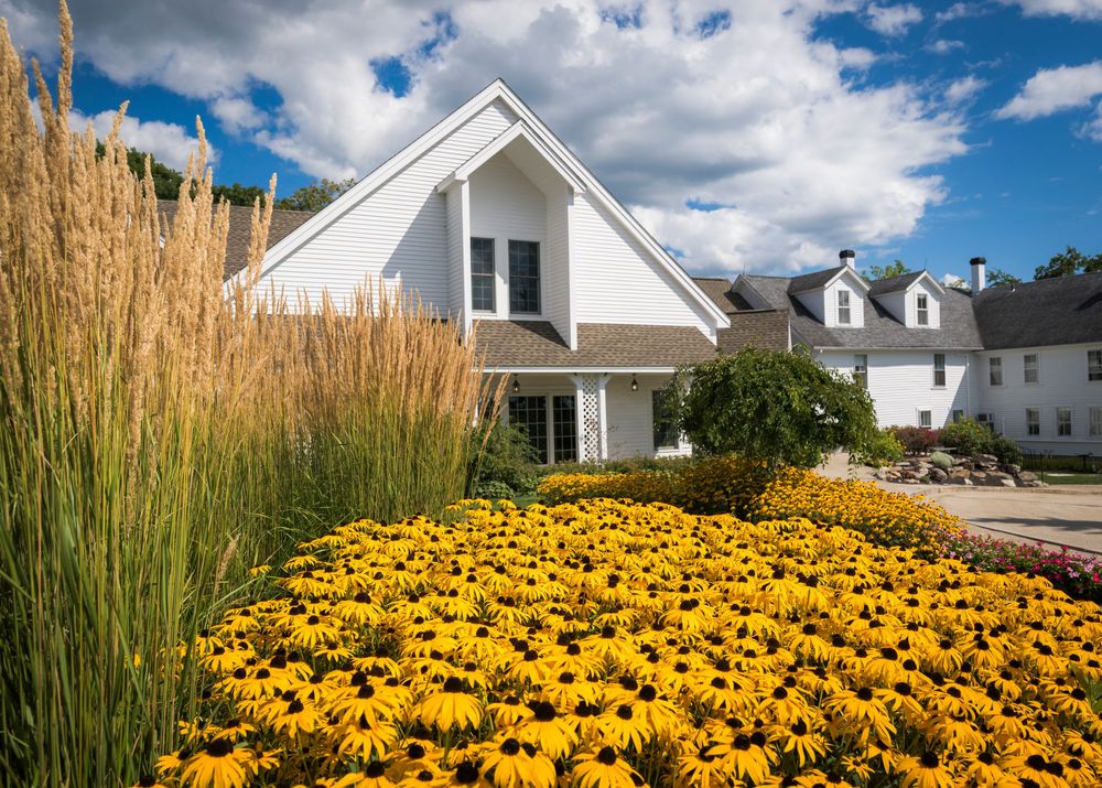 Charming white New England wedding venue surrounded by vibrant yellow black-eyed Susan flowers under blue sky.