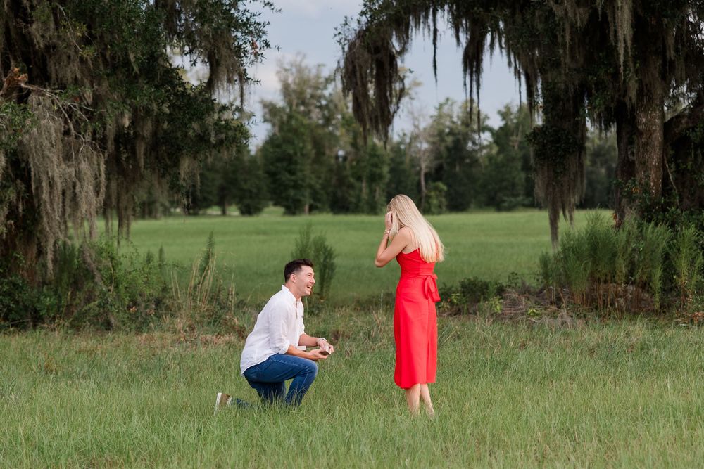 Man kneeling to propose to woman in red dress in lush green field under Spanish moss-draped trees.