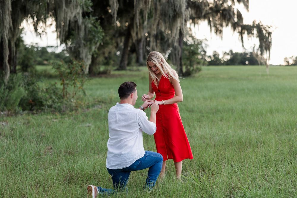 Man kneeling on one knee proposing to woman in red dress in lush green field under Spanish moss trees.