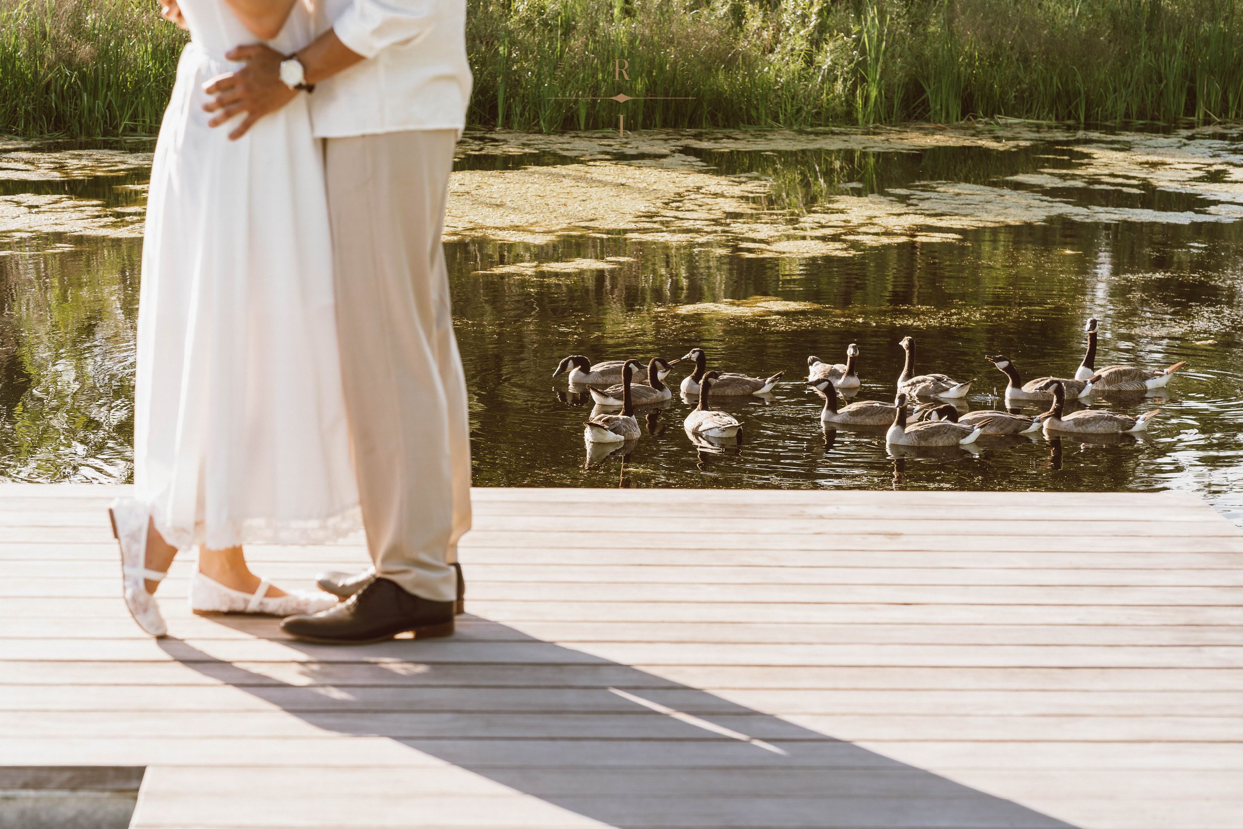 Couple embracing on wooden dock by serene pond with swans, wearing white wedding attire, romantic outdoor setting.