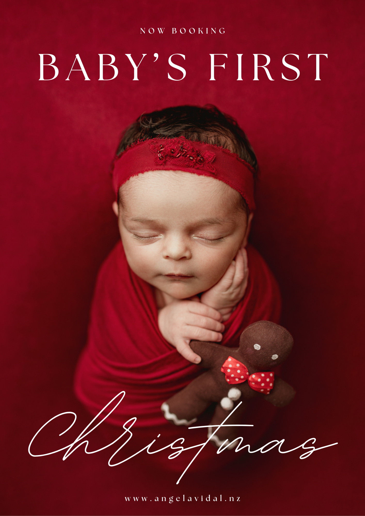Christmas photos in Wellington and Porirua