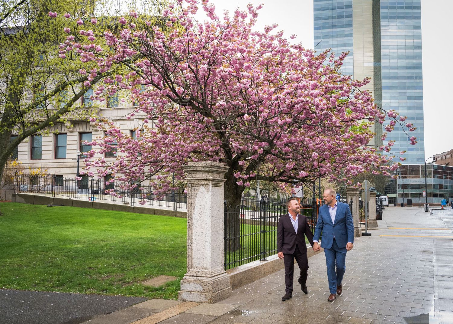 Two men walking past a blooming pink cherry blossom tree in an urban park setting.
