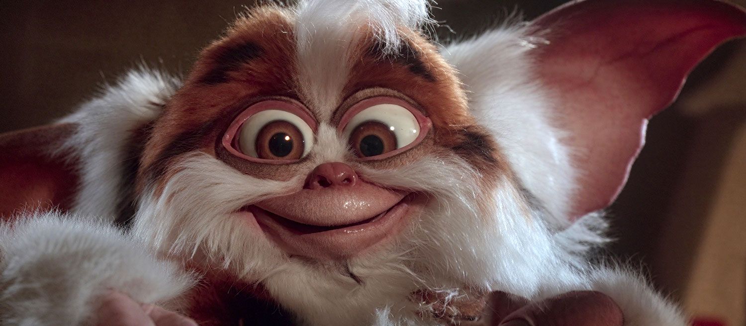 Daffy mogwai closeup from Gremlins 2: The New Batch