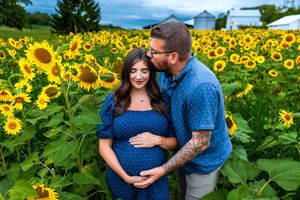 Couple in a sunflower field, man kissing pregnant woman's head while they cradle her baby bump.