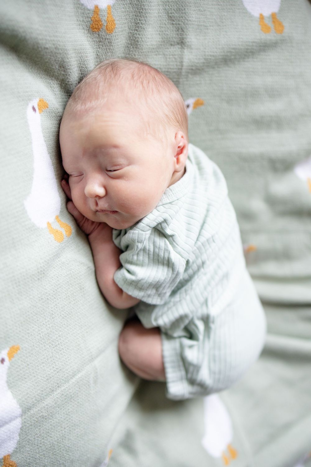 Newborn baby sleeping during fresh 48 session at the University of Tennessee with Nina Thomas Photography.