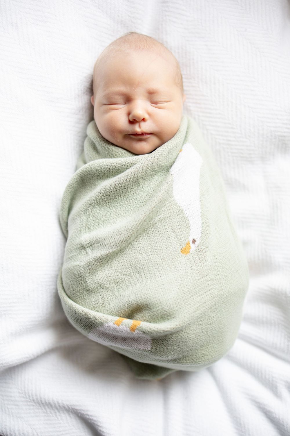 Peaceful newborn baby swaddled during fresh 48 session at the University of Tennessee with Nina Thomas Photography.