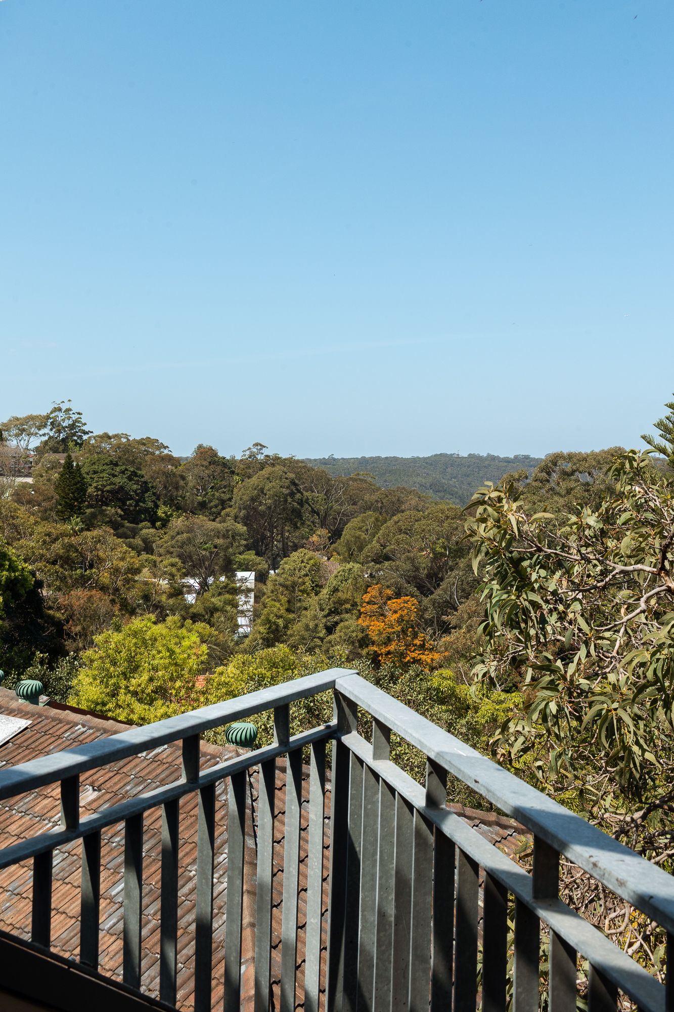 Metal balcony railing overlooking lush green treetops under a clear blue sky in a bushland setting.