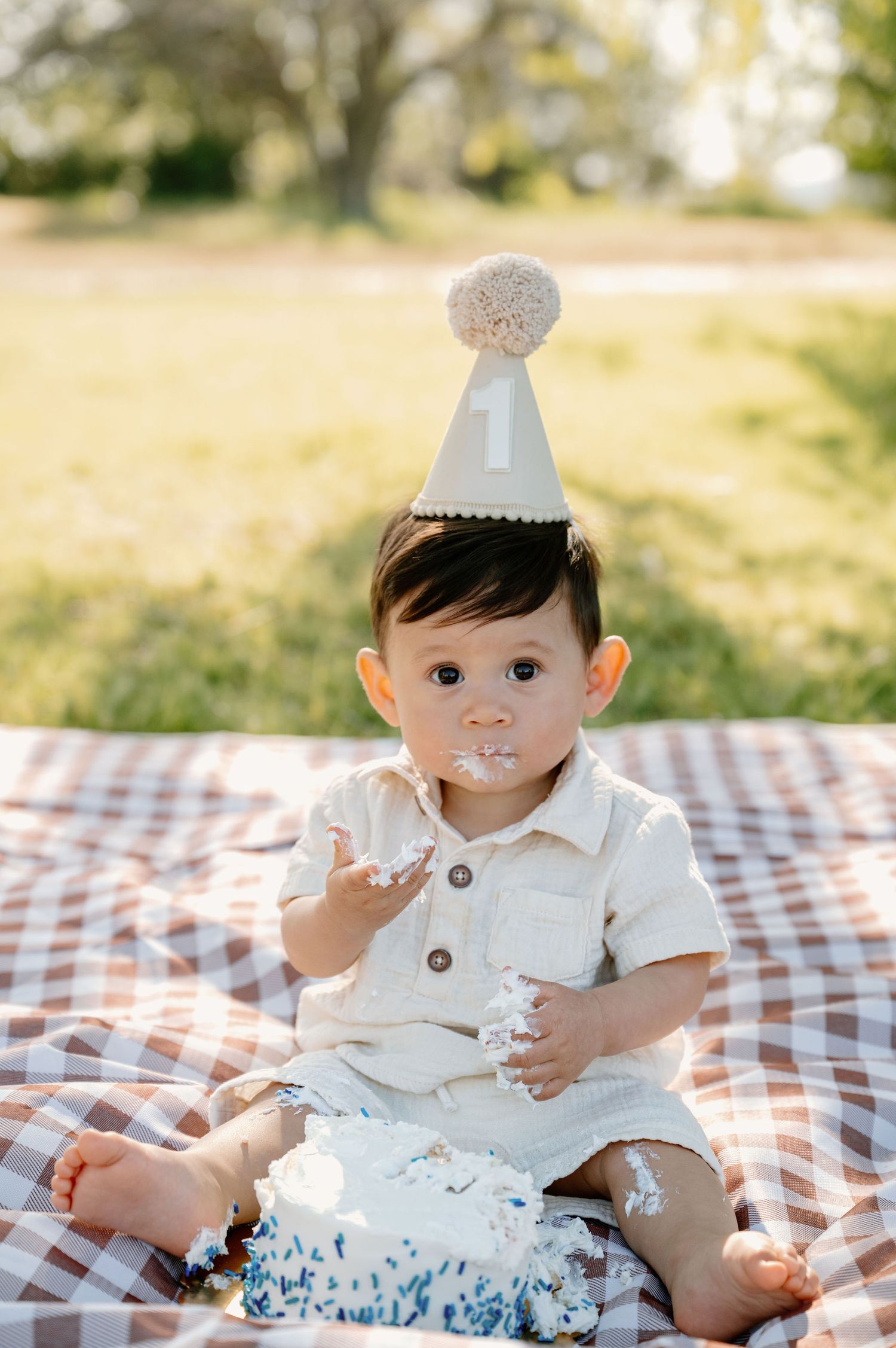 First birthday milestone photos at the park in Tri-Cities, WA
