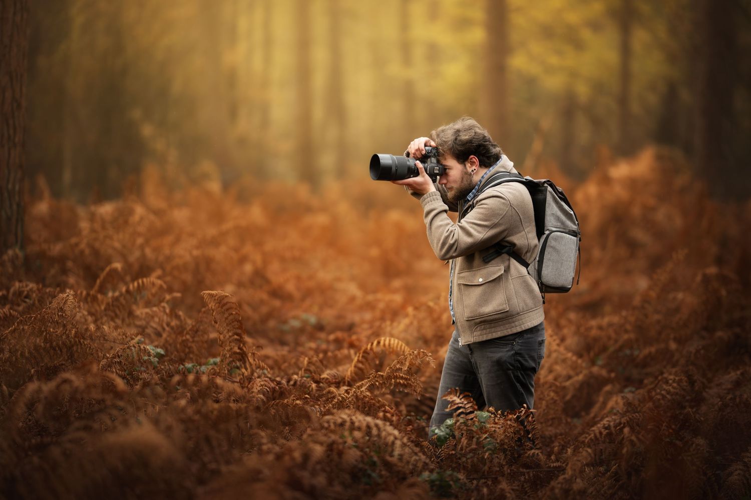 Photographer with camera and backpack shooting in autumn forest surrounded by golden-brown ferns in misty woodland.