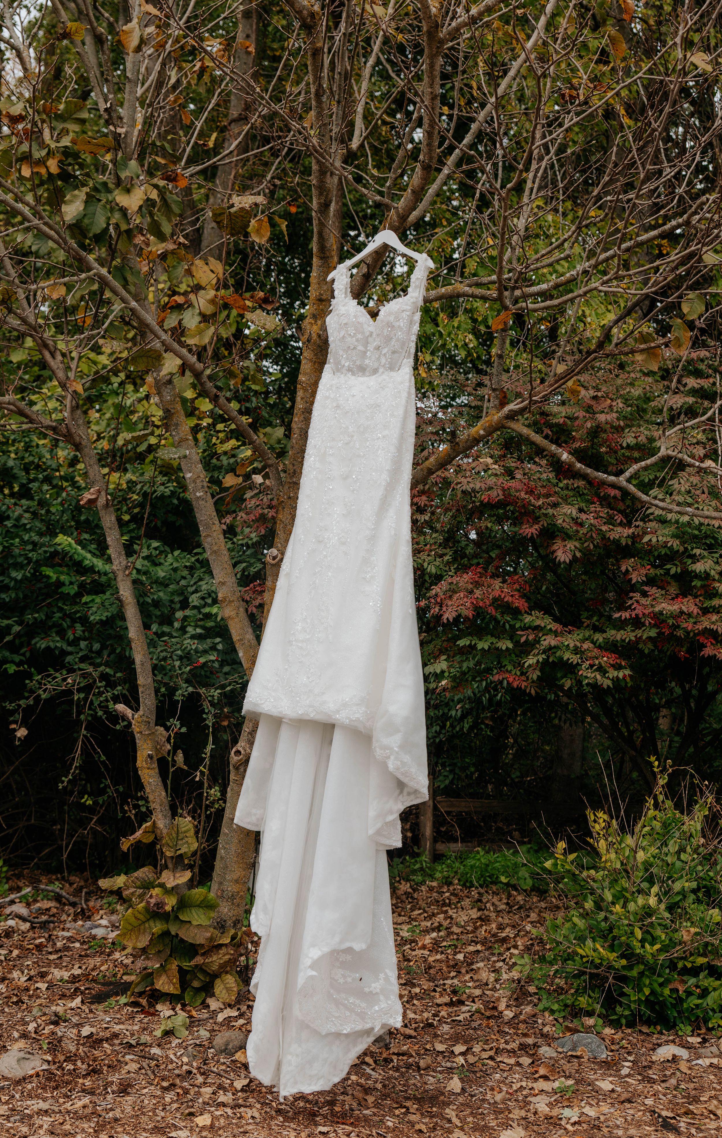 White lace wedding dress hanging on a hanger from a tree branch surrounded by autumn foliage.