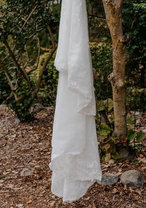 White lace wedding dress hanging from a tree branch in a lush green forest setting.