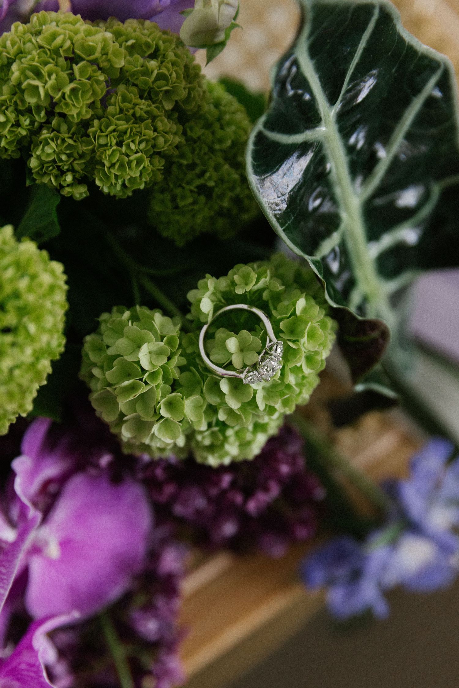 Diamond engagement ring resting on green hydrangea bloom surrounded by purple flowers and tropical leaves.