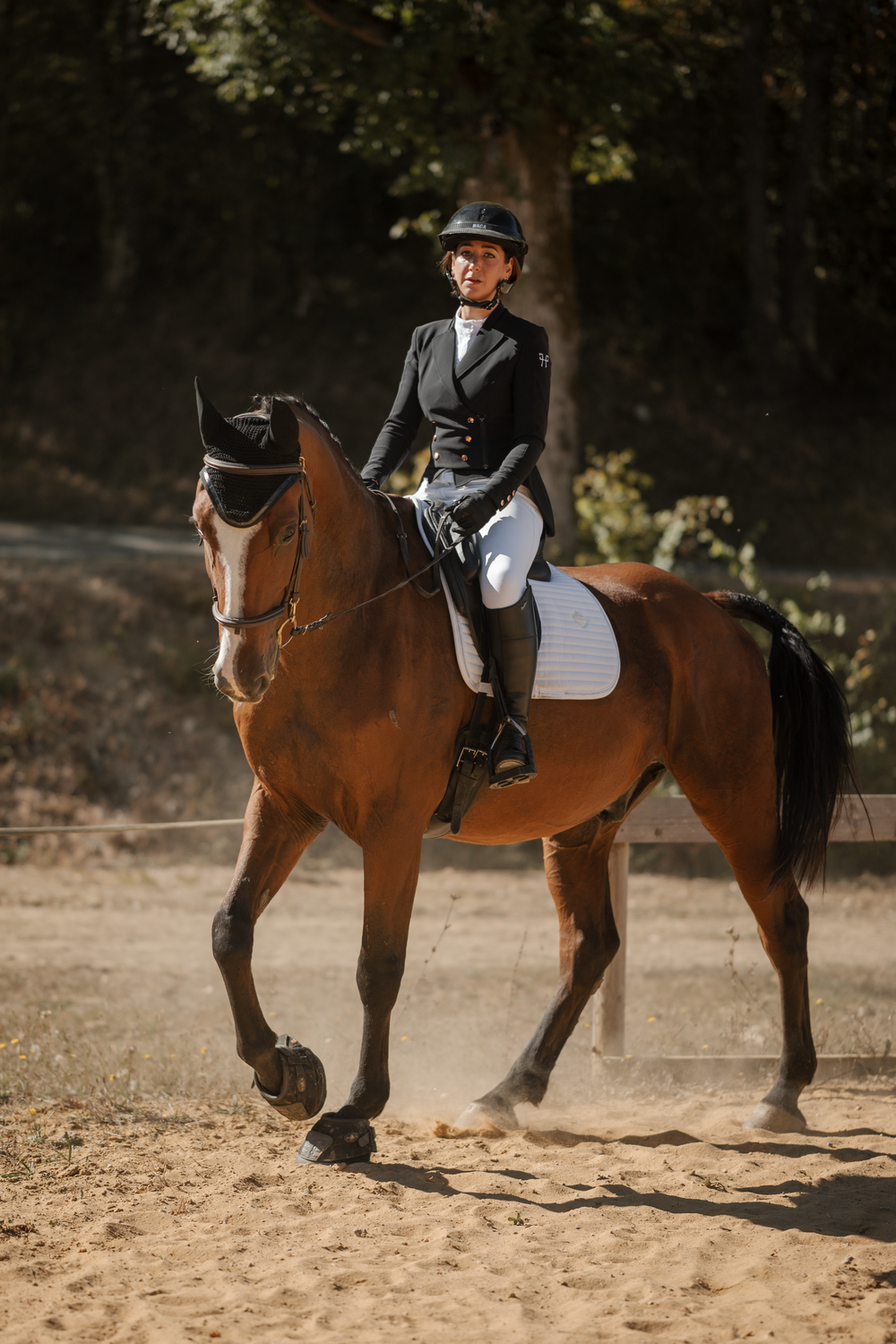 Photo couple cavalier cheval en concours