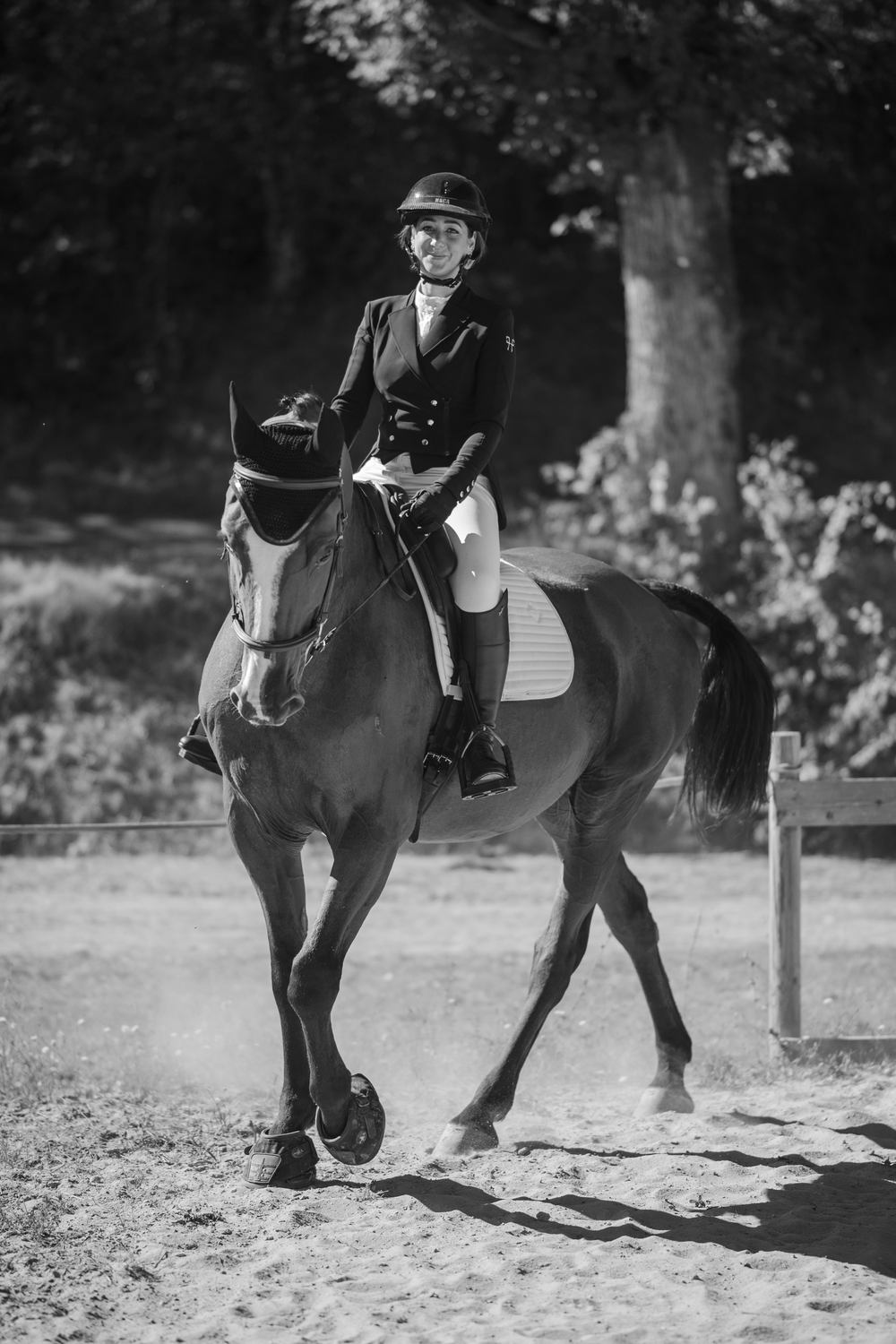 Photo couple cavalier cheval en concours