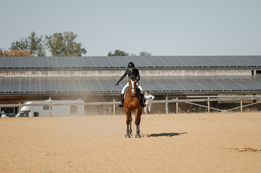 Photo couple cavalier cheval en concours