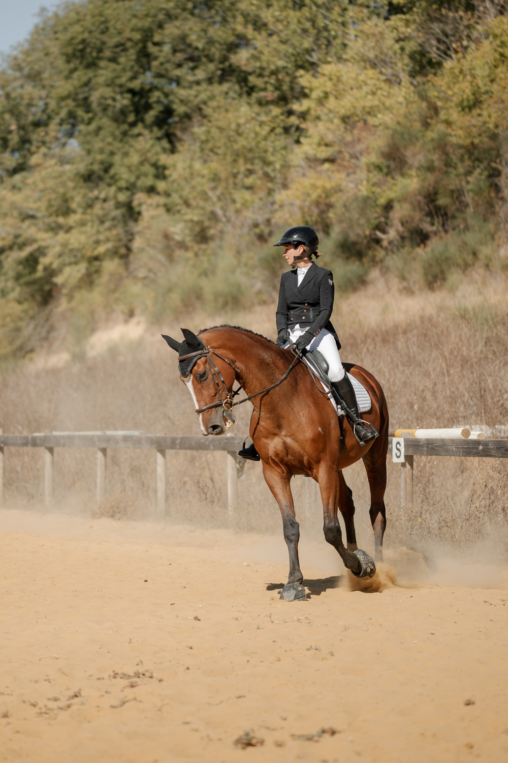 Photo couple cavalier cheval en concours