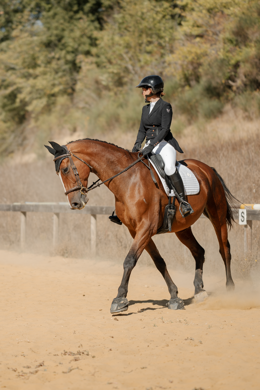 Photo couple cavalier cheval en concours