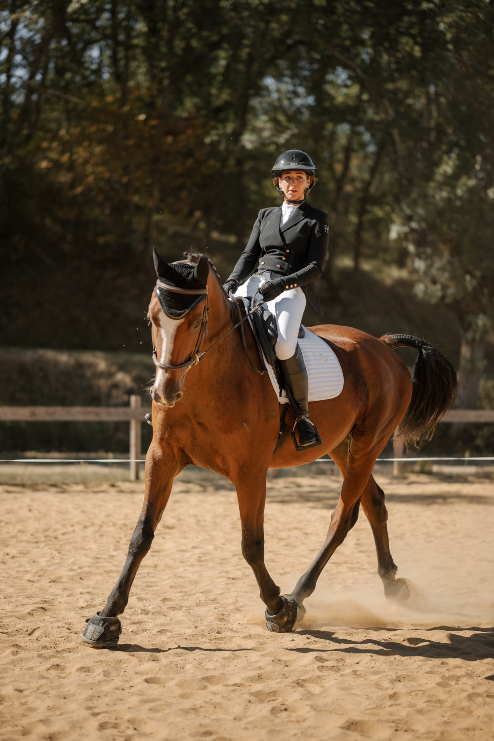 Photo couple cavalier cheval en concours