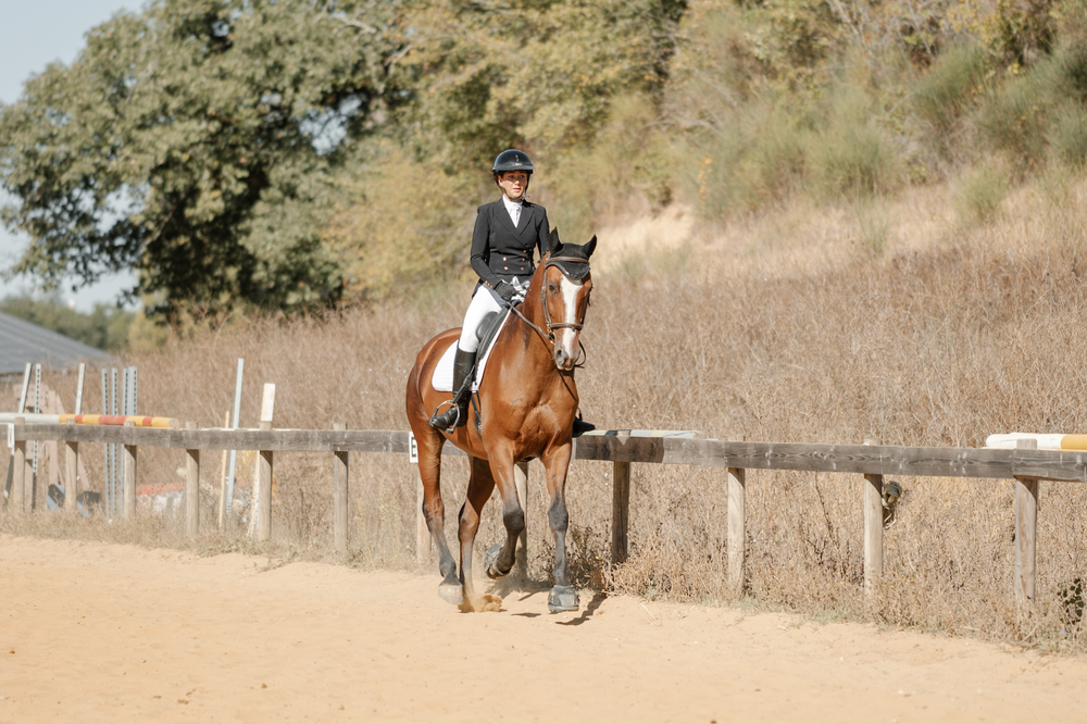 Photo couple cavalier cheval en concours