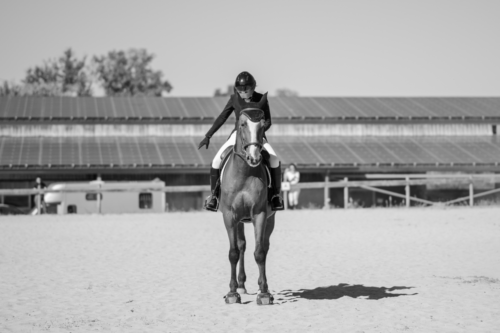 Photo couple cavalier cheval en concours