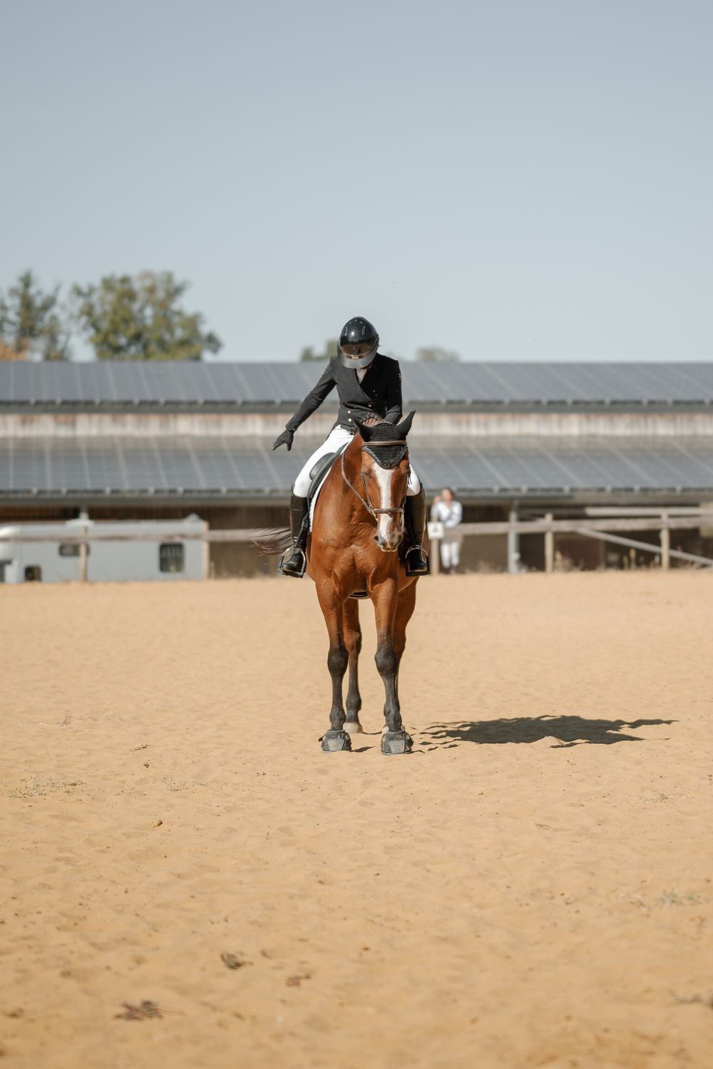 Photo couple cavalier cheval en concours