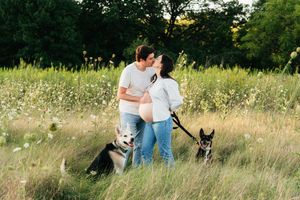 Couple kisses and embraces a pregnant belly in a tall grass field with two dogs resting beside them.