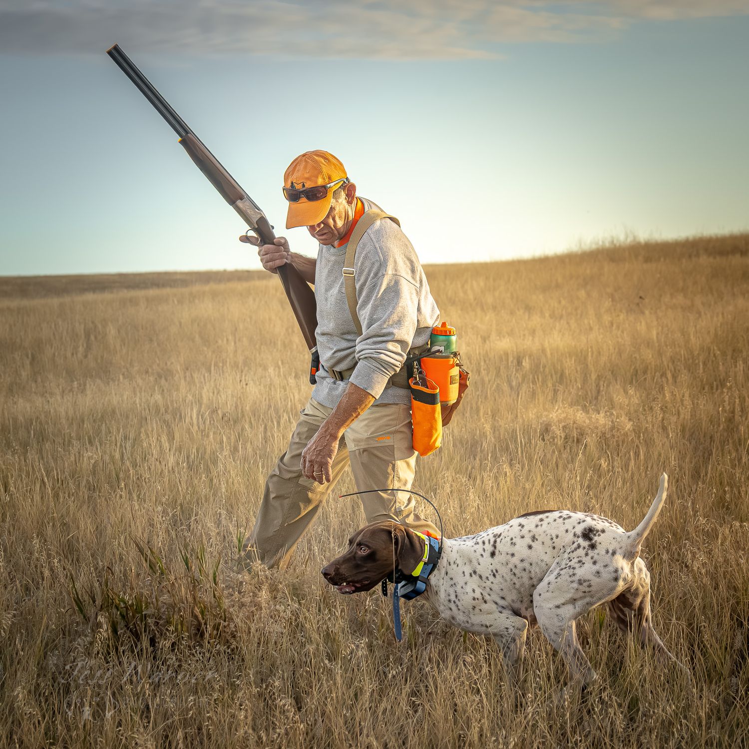 Hunter in orange cap holds rifle upright while pointer dog stands alert in golden prairie grassland.