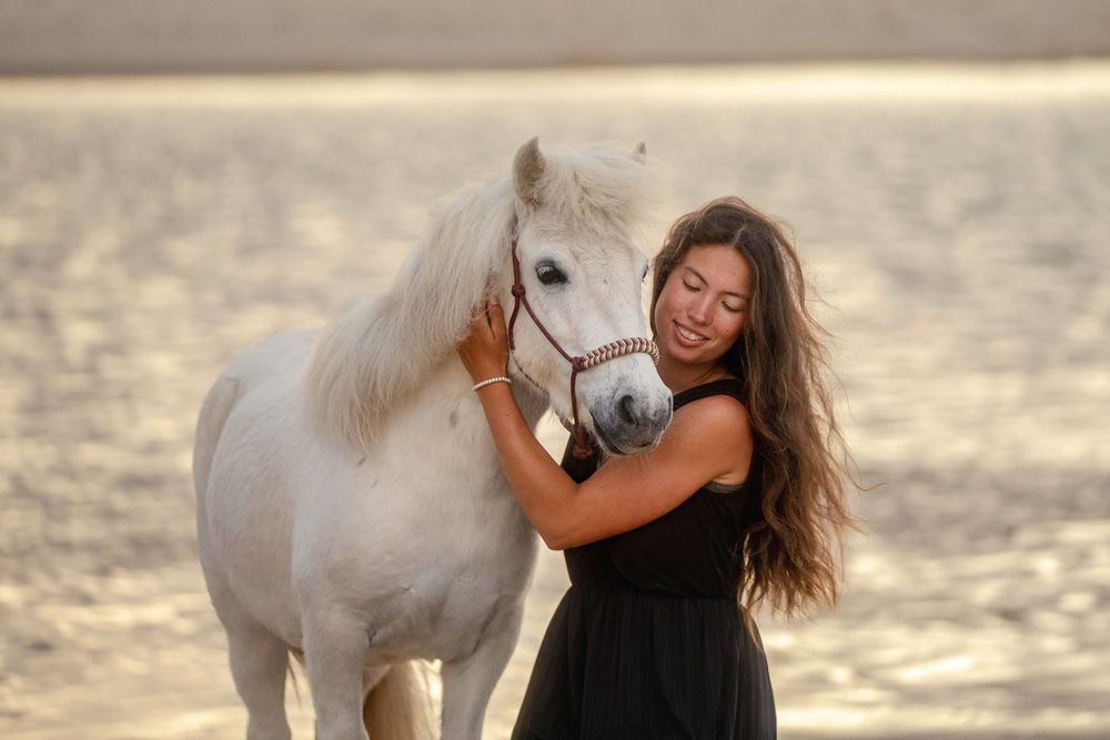 Portrait naturel d'un cheval et de sa cavalière