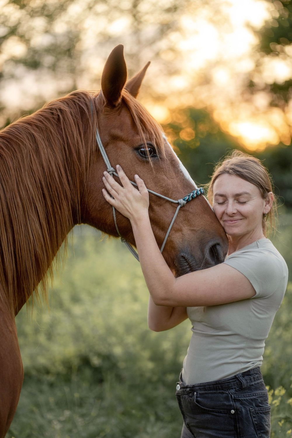 Cheval photographié dans une prairie du Médoc